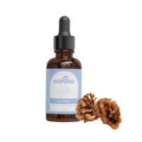 Tintura Madre Doble Extracto Maitake