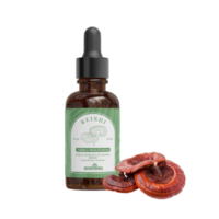 Tintura Madre Doble Extracto Reishi