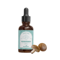 Tintura Madre Doble Extracto Shiitake